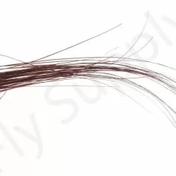 Stripped Quills 25pc -Rod Tubes Verkoopwinkel Stripped Quills 25pc STRIPQLLS XXX dsc03300 bewerkt 1