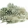 Strung Guinea Feathers -Rod Tubes Verkoopwinkel Strung guinea feathers 40 81XXX 1fs 693