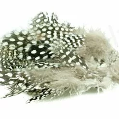 Strung Guinea Feathers