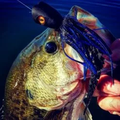 Surface Seducer Dragon Eyes 20pc -Rod Tubes Verkoopwinkel Surface Seducer Dragon Eyes 20pc DRAGONEYES XXX dragon eyes mix3 2