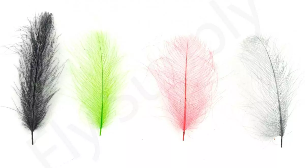 Swiss CDC Ultra Select XL Feathers 3 Swiss CDC Ultra Select XL Feathers