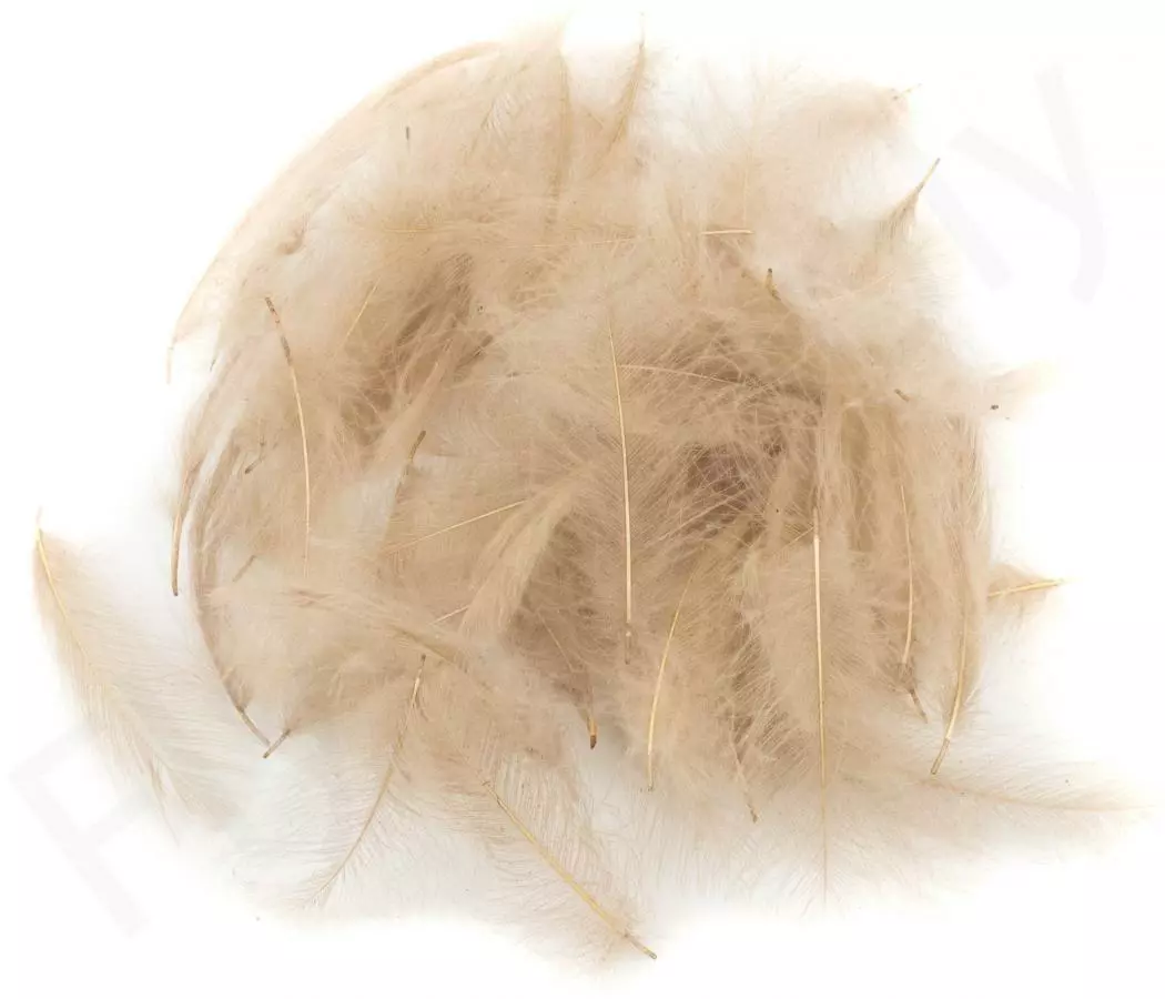Swiss CDC Ultra Select XL Feathers 4 Swiss CDC Ultra Select XL Feathers - Afbeelding 2