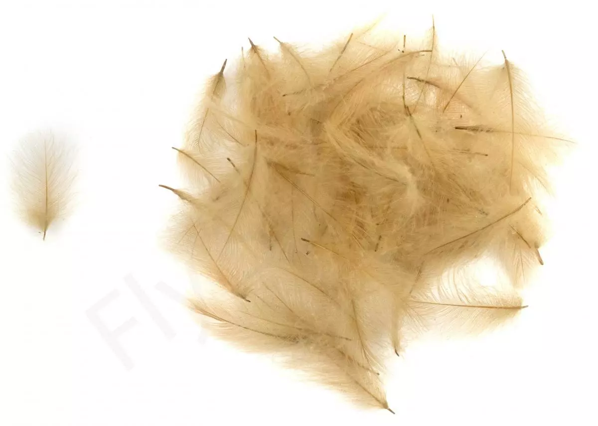 Swiss CDC Ultra Select XL Feathers 7 Swiss CDC Ultra Select XL Feathers - Afbeelding 5