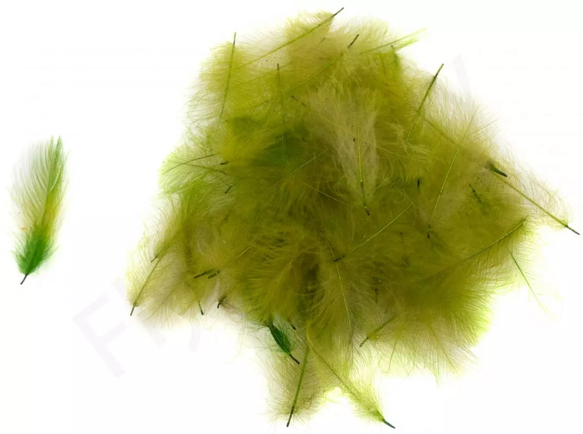 Swiss CDC Ultra Select XL Feathers 10 Swiss CDC Ultra Select XL Feathers - Afbeelding 8