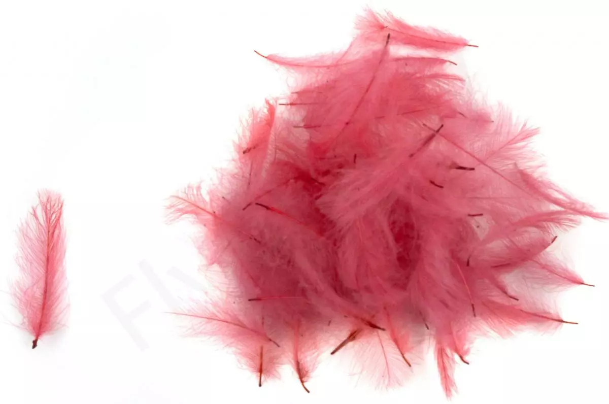 Swiss CDC Ultra Select XL Feathers 13 Swiss CDC Ultra Select XL Feathers - Afbeelding 11