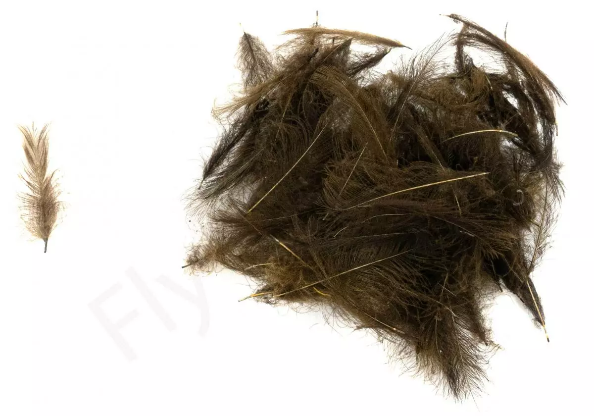 Swiss CDC Ultra Select XL Feathers 8 Swiss CDC Ultra Select XL Feathers - Afbeelding 6