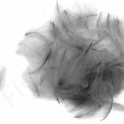 Swiss CDC Ultra Select XL Feathers 29 Swiss CDC Ultra Select XL Feathers -Rod Tubes Verkoopwinkel Swiss CDC Ultra Select XL Feathers SWSCDCUSL X ultra violet 9