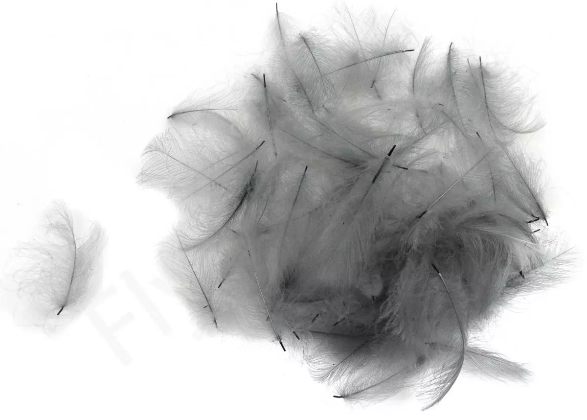 Swiss CDC Ultra Select XL Feathers 5 Swiss CDC Ultra Select XL Feathers - Afbeelding 3