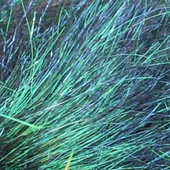 Angel Hair -Rod Tubes Verkoopwinkel Sybai Angel Hair SYBANGELH XX hairpeacock