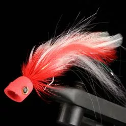 Sybai Short Popper -Rod Tubes Verkoopwinkel Sybai20Poppers20SHort2