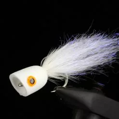 Sybai Short Popper -Rod Tubes Verkoopwinkel Sybai20Poppers20SHort3