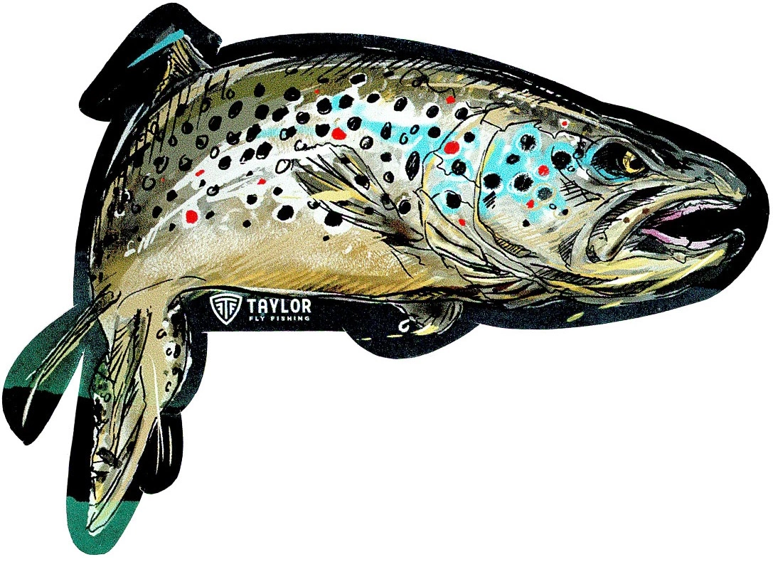 Taylor Angry Trout Sticker 3 Taylor Angry Trout Sticker
