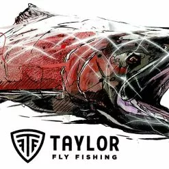 Taylor Salmon Sticker