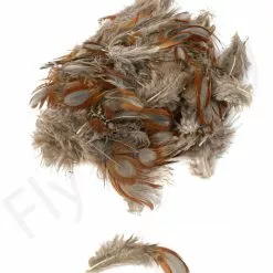 Tragopan Phesant Body Feathers 3gr -Rod Tubes Verkoopwinkel Tragopan Phesant Body Feathers 3gr TRAGOPANBODY XXX dsc02573 bewerkt