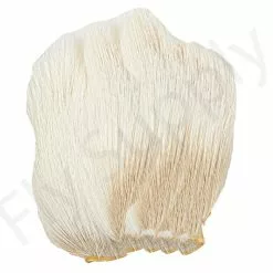 Trico Hair 19 Trico Hair -Rod Tubes Verkoopwinkel Trico hair 50 42XXX dsc03443 bewerkt 1