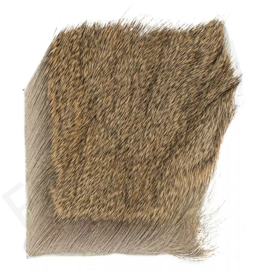 Trico Hair 4 Trico Hair - Afbeelding 2