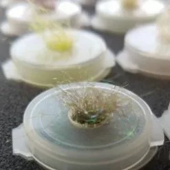 UTC Vials 9 Pack 8 UTC Vials 9 Pack -Rod Tubes Verkoopwinkel UTC Vials 9 pack UTCXV vial close up 159x3002 1