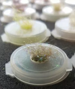 UTC Vials 9 Pack 5 UTC Vials 9 Pack - Afbeelding 3