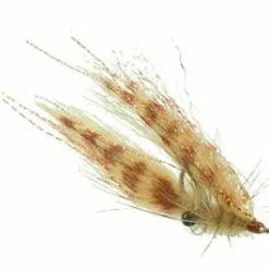 Umpqua Crafty Shrimp #4
