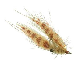 Umpqua Crafty Shrimp #4 3 Umpqua Crafty Shrimp #4