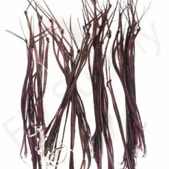 Veniard Cock Pheasant Hopper Legs -Rod Tubes Verkoopwinkel Veniard Cock Pheasant Hopper Legs CPHL XXX Z dsc04972 1