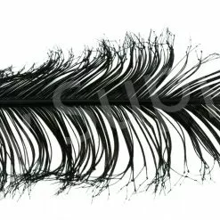 Veniard Cock Pheasant Single Knotted Tail -Rod Tubes Verkoopwinkel Veniard Cock Pheasant Single Knotted Tail VENCPKNOT X black