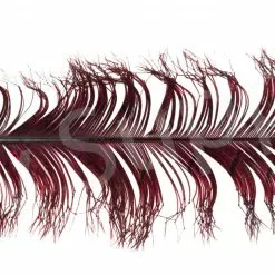 Veniard Cock Pheasant Single Knotted Tail -Rod Tubes Verkoopwinkel Veniard Cock Pheasant Single Knotted Tail VENCPKNOT X claret