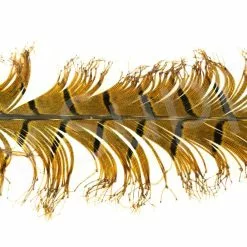 Veniard Cock Pheasant Single Knotted Tail -Rod Tubes Verkoopwinkel Veniard Cock Pheasant Single Knotted Tail VENCPKNOT X natural