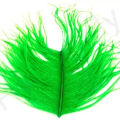 Veniard Ostrich Herl -Rod Tubes Verkoopwinkel Veniard Ostrich Herl OSTH XXX green highlander