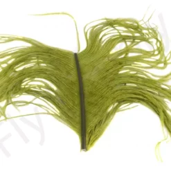 Veniard Ostrich Herl -Rod Tubes Verkoopwinkel Veniard Ostrich Herl OSTH XXX medium olive