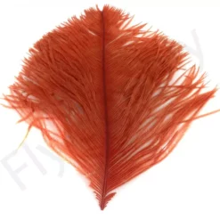 Veniard Ostrich Herl -Rod Tubes Verkoopwinkel Veniard Ostrich Herl OSTH XXX red scarlet