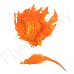 Veniard Schlappen Feathers -Rod Tubes Verkoopwinkel Veniard Schlappen Feathers VEN SCHLA XXX dsc01672 bewerkt