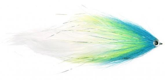 Vision Pike Fly Budgie Undulaatti Schlappen 3 Vision Pike Fly Budgie Undulaatti Schlappen