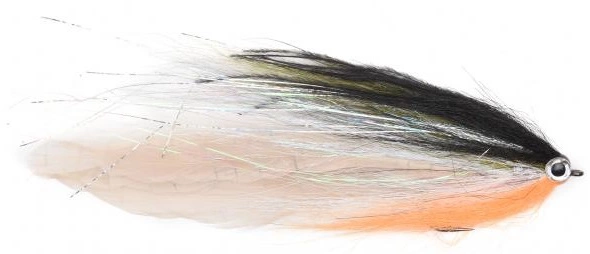 Vision Pike Fly Roach 3 Vision Pike Fly Roach