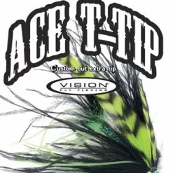 Vision Ace T-Tip 12ft