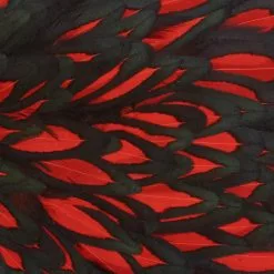 Whiting American Hen Saddle 41 Whiting American Hen Saddle -Rod Tubes Verkoopwinkel Whiting American Hen Saddle WHIT AMHENSAD dsc00401 bewerkt 2