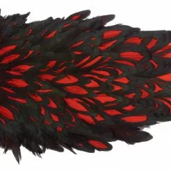 Whiting American Hen Saddle 40 Whiting American Hen Saddle -Rod Tubes Verkoopwinkel Whiting American Hen Saddle WHIT AMHENSAD dsc00401 bewerkt