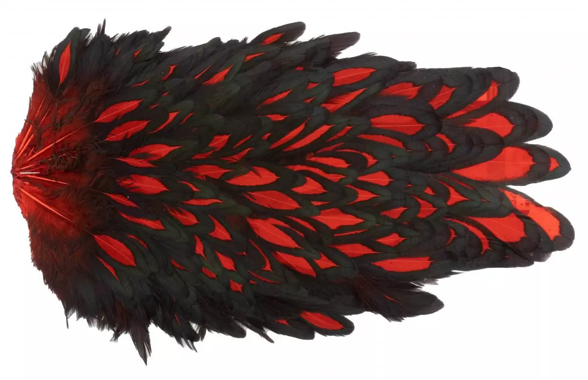 Whiting American Hen Saddle 21 Whiting American Hen Saddle - Afbeelding 19