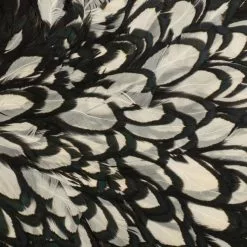 Whiting American Hen Saddle 36 Whiting American Hen Saddle -Rod Tubes Verkoopwinkel Whiting American Hen Saddle WHIT AMHENSAD dsc028852