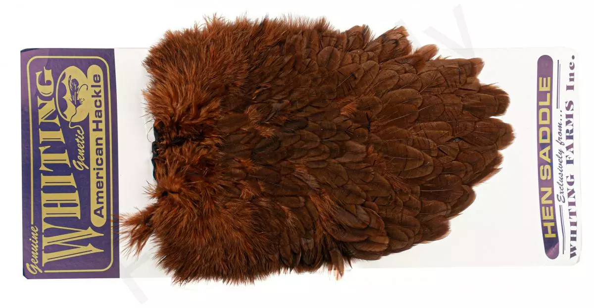 Whiting American Hen Saddle 18 Whiting American Hen Saddle - Afbeelding 16