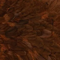 Whiting American Hen Saddle 38 Whiting American Hen Saddle -Rod Tubes Verkoopwinkel Whiting American Hen Saddle WHIT AMHENSAD dsc028862