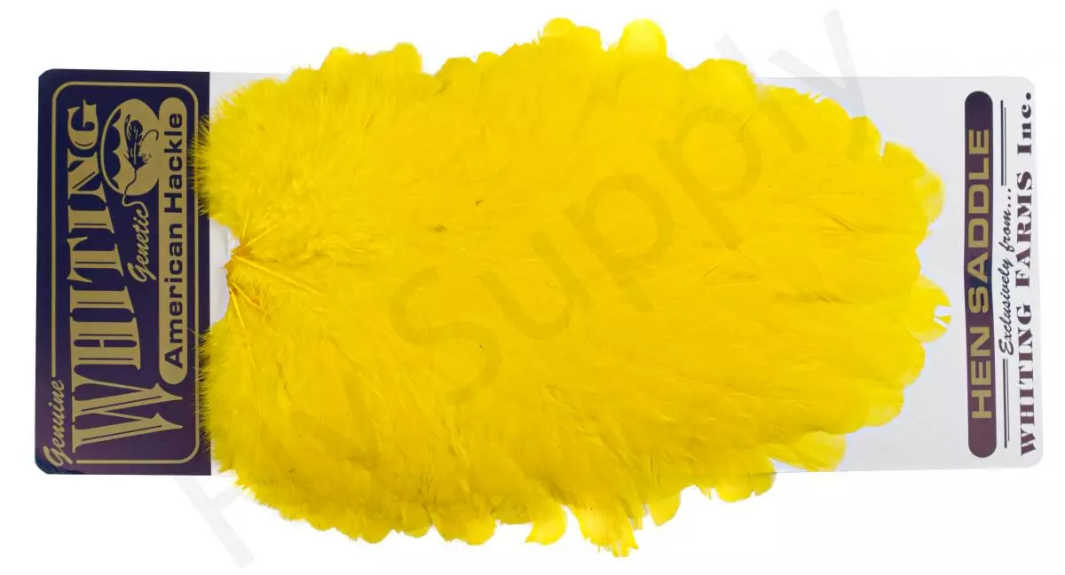 Whiting American Hen Saddle 14 Whiting American Hen Saddle - Afbeelding 12