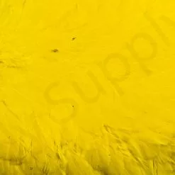 Whiting American Hen Saddle 34 Whiting American Hen Saddle -Rod Tubes Verkoopwinkel Whiting American Hen Saddle WHIT AMHENSAD dsc028872