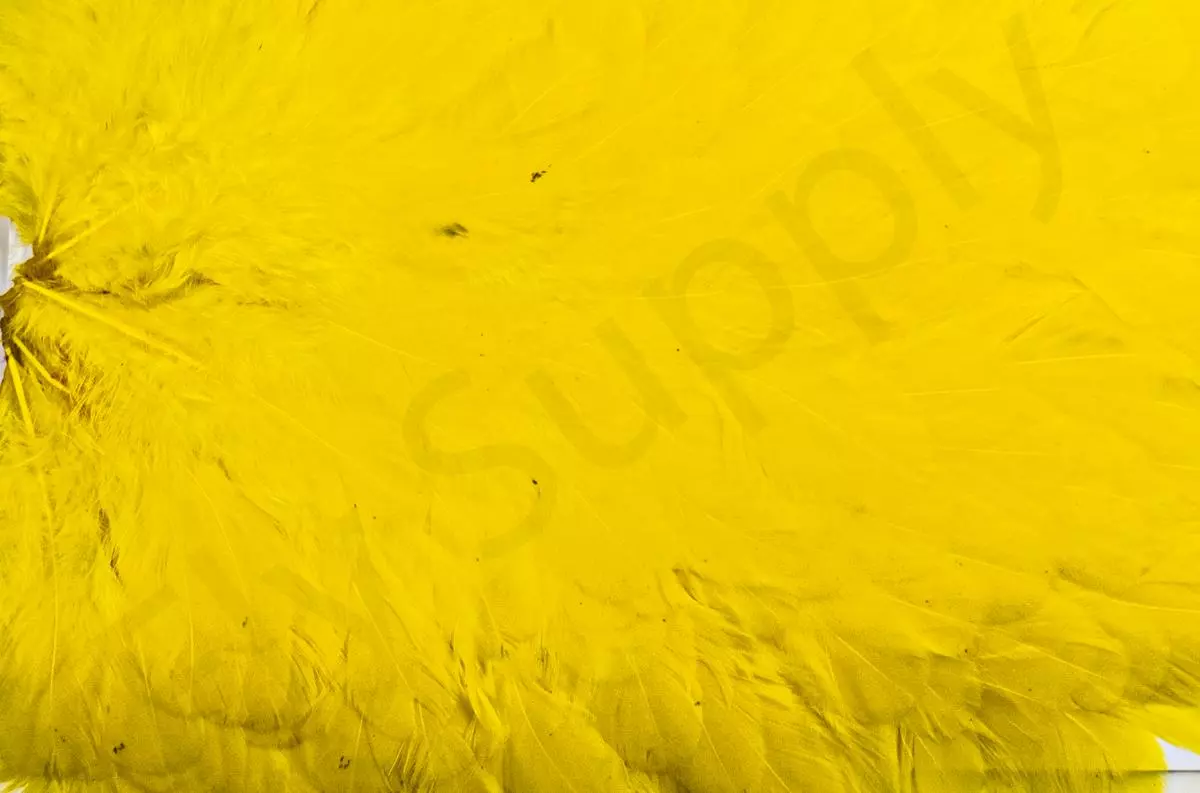 Whiting American Hen Saddle 15 Whiting American Hen Saddle - Afbeelding 13