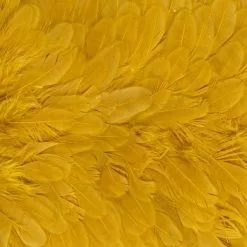 Whiting American Hen Saddle 26 Whiting American Hen Saddle -Rod Tubes Verkoopwinkel Whiting American Hen Saddle WHIT AMHENSAD dsc03595 bewerkt 2