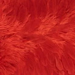 Whiting American Hen Saddle 32 Whiting American Hen Saddle -Rod Tubes Verkoopwinkel Whiting American Hen Saddle WHIT AMHENSAD dsc03596 bewerkt 2