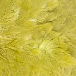 Whiting American Hen Saddle 30 Whiting American Hen Saddle -Rod Tubes Verkoopwinkel Whiting American Hen Saddle WHIT AMHENSAD dsc03597 bewerkt 2