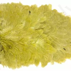 Whiting American Hen Saddle 29 Whiting American Hen Saddle -Rod Tubes Verkoopwinkel Whiting American Hen Saddle WHIT AMHENSAD dsc03597 bewerkt