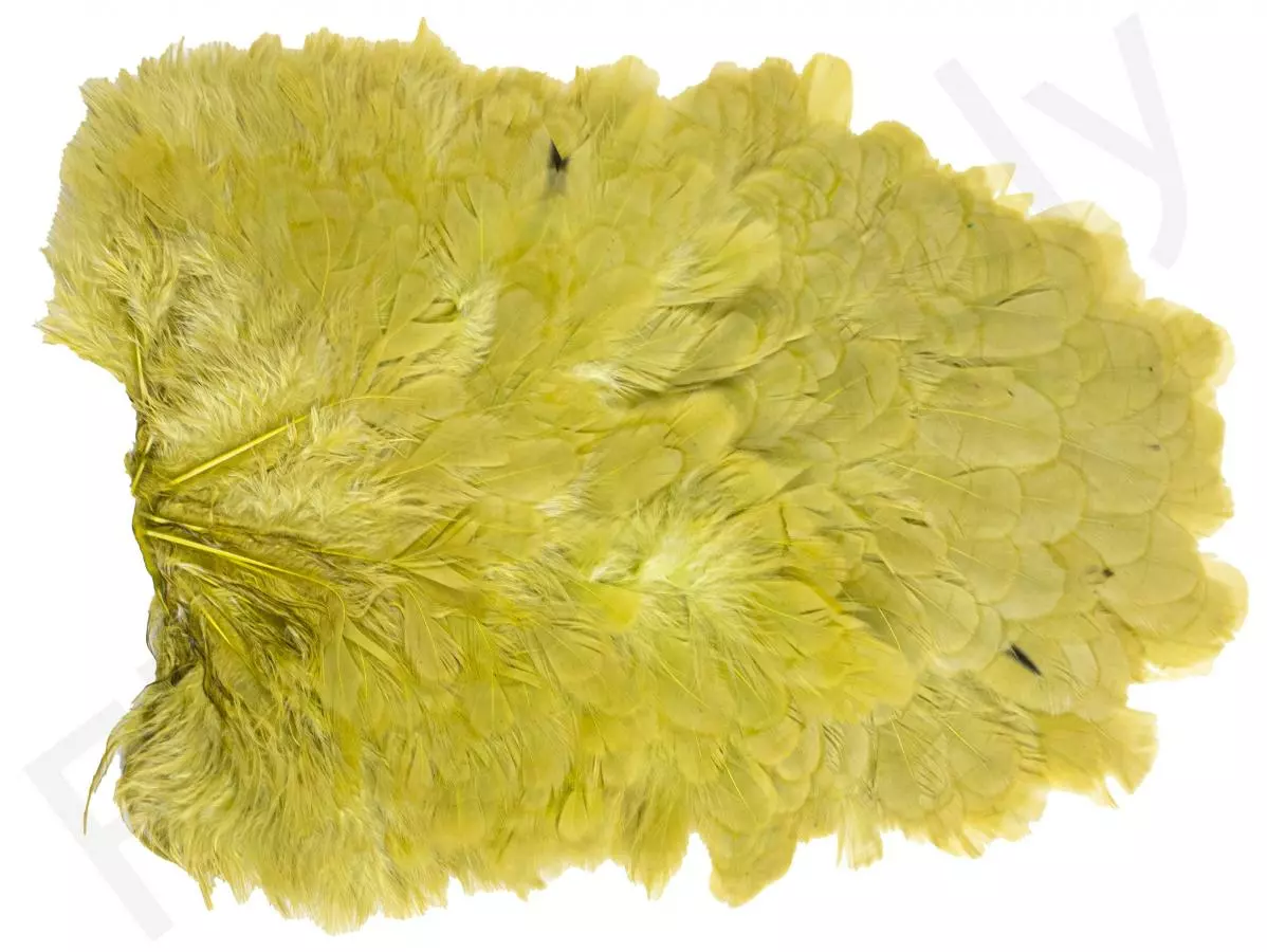 Whiting American Hen Saddle 10 Whiting American Hen Saddle - Afbeelding 8