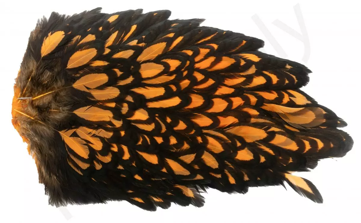 Whiting American Hen Saddle 20 Whiting American Hen Saddle - Afbeelding 18